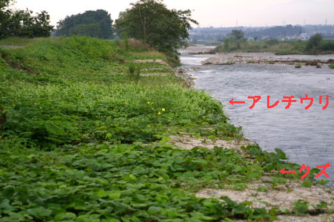 A`E